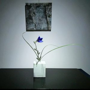 【季節の特別講座】なげいれ 花の教室